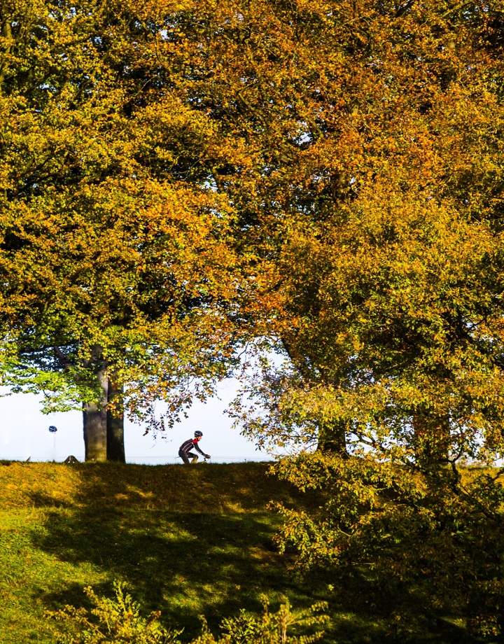 Wielrenner tussen de herfstbomen