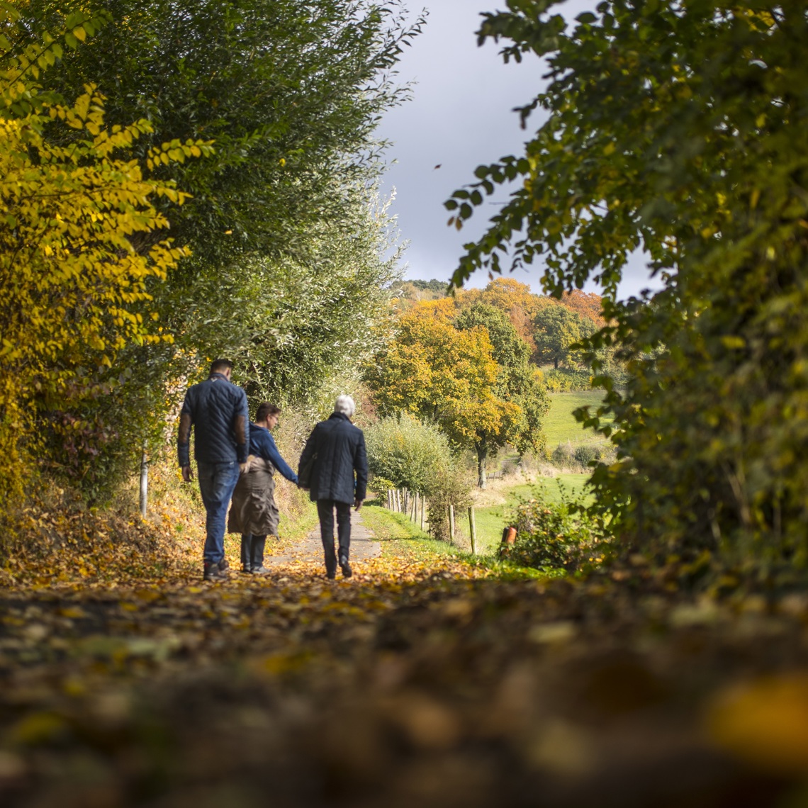 Wandelaars maken een herfstwandeling tussen de gekleurde bomen