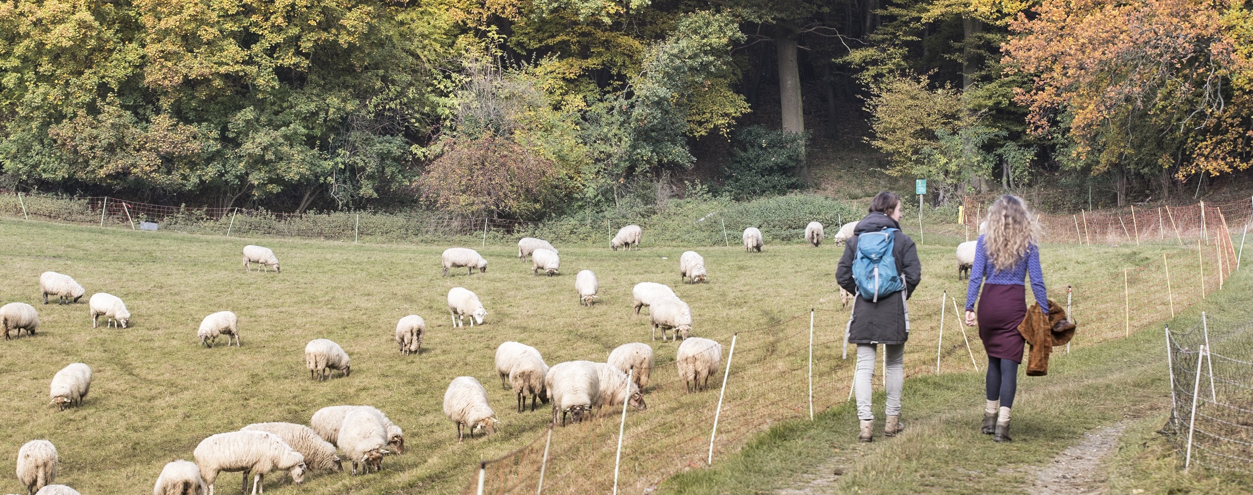 De mooiste wandelroutes in Zuid-Limburg | Visit Zuid-Limburg