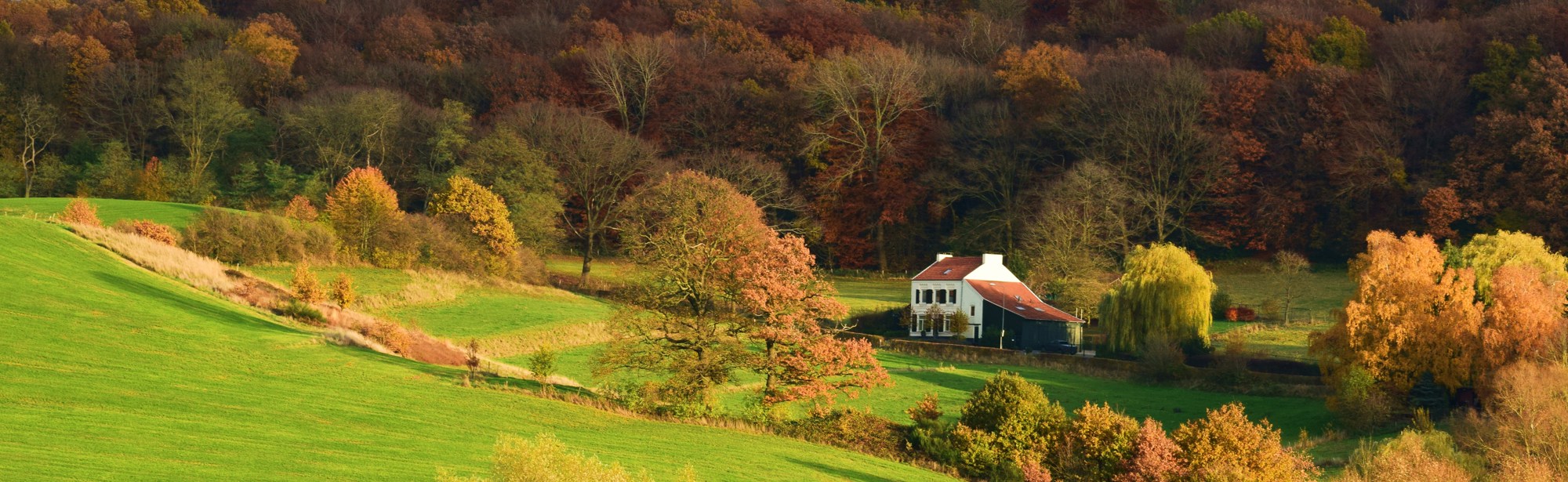 Uitkijkje op een herfstlandschap in Vaals en de Wilhelminatoren