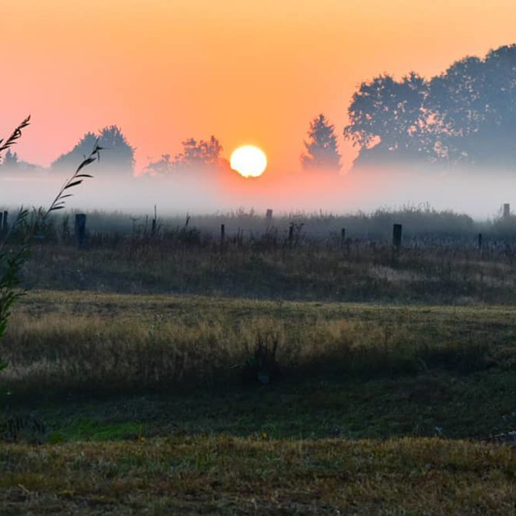 Mistig Limburgs landschap met opkomende zon Mistral Photography