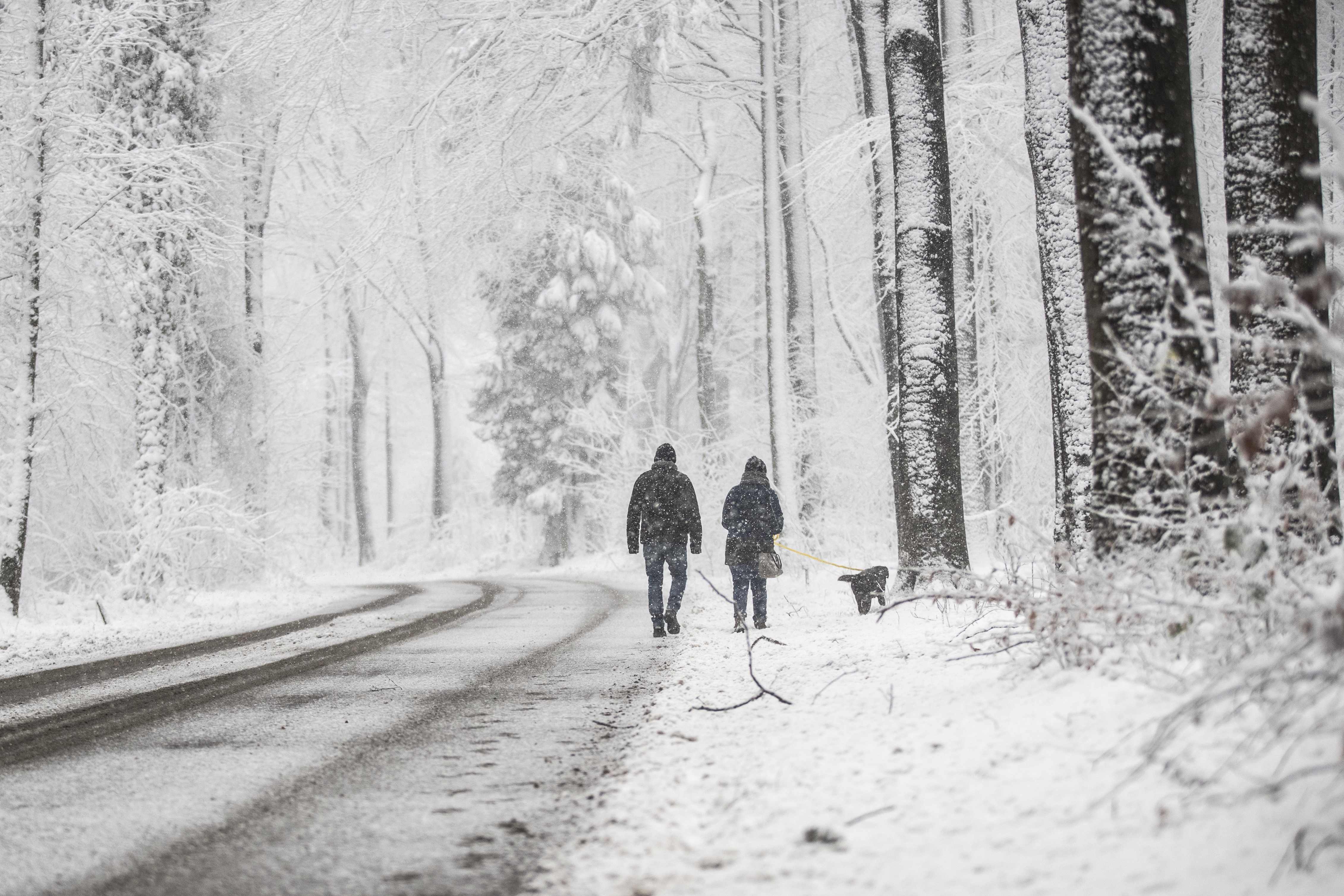Sneeuwschoenovertrekken