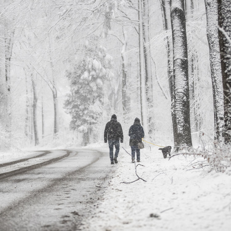 Twee wandelaars wandelen in een sneeuwbui door een wit bos