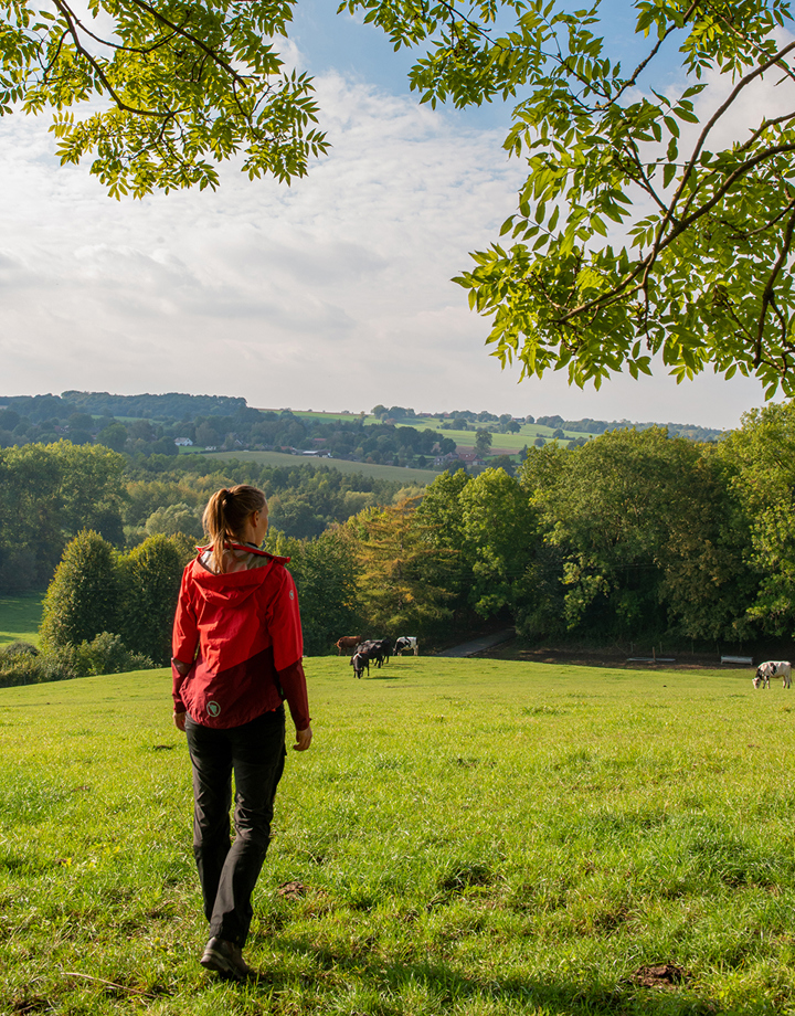 Een vrouw in sportieve outfit kijkt uit over het heuvellandschap