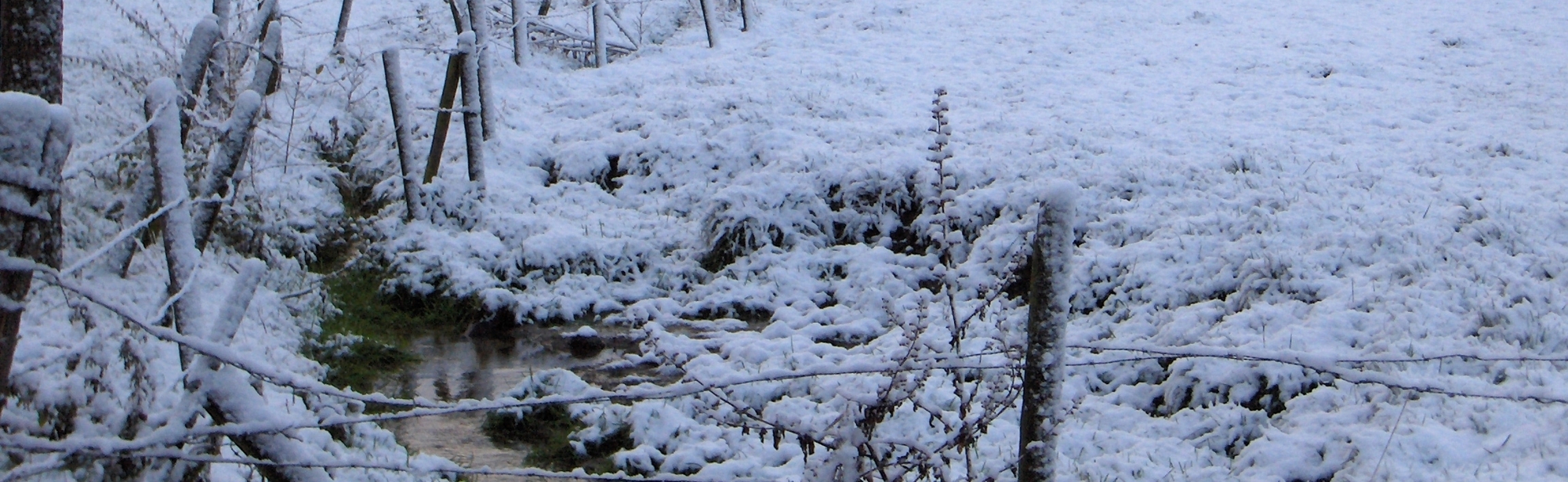 Beekje door de sneeuw in de buurt van Vijlen