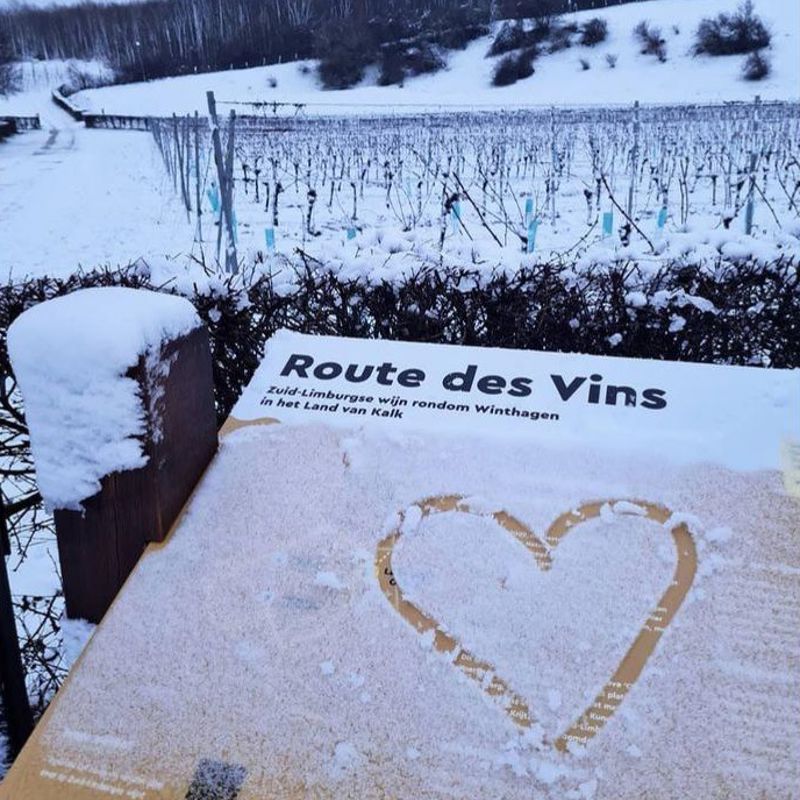 Besneeuwd Wijnbord Route Des Vins Voerendaal Met Harte Getekend In Sneeuw