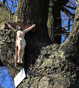 Een wegkruisje met Jezus hangt aan een boom