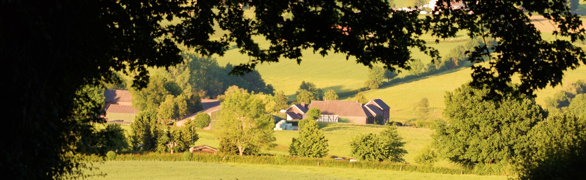 Een pad met een doorkijkje op een zonnig avondlandschap