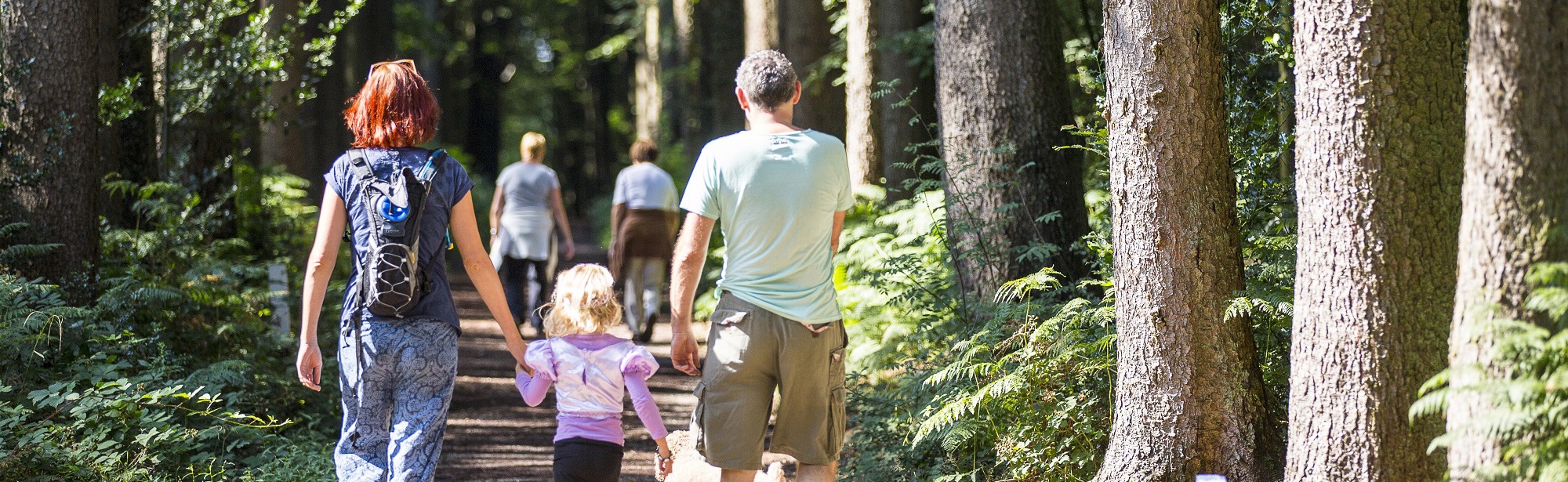 Een familie wandeling met dochtertje en hond door het Vijlenerbos