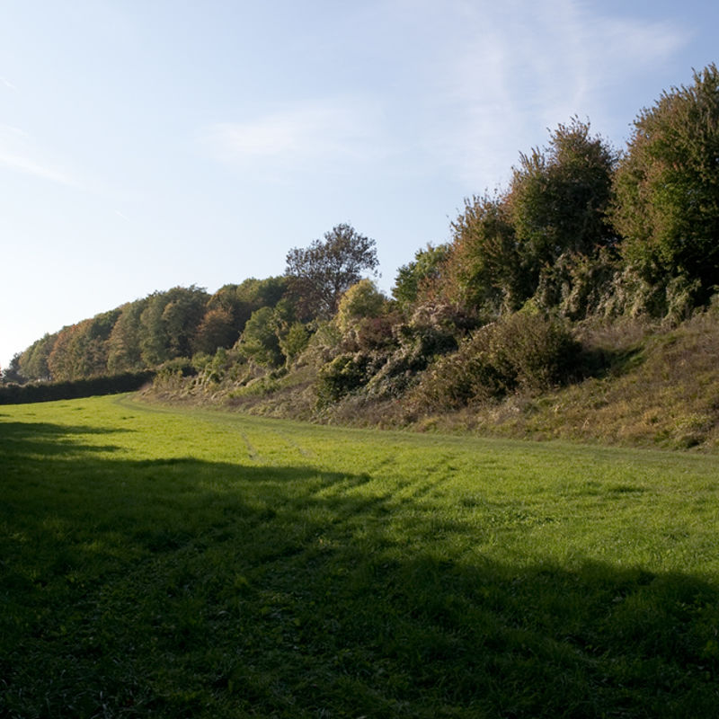 Graften boven Wahlwiller met uitzicht op grasveld en struiken