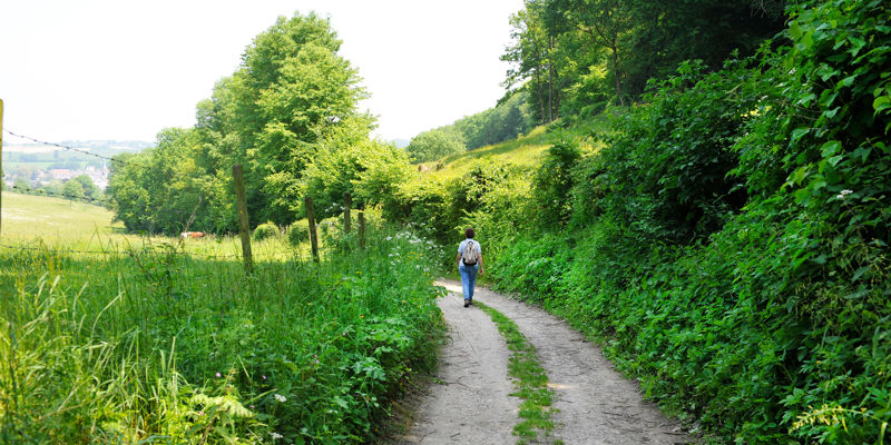 Een holle weg in Gerendal omringt met groene struiken en bomen met een wandelaar op de achtergrond
