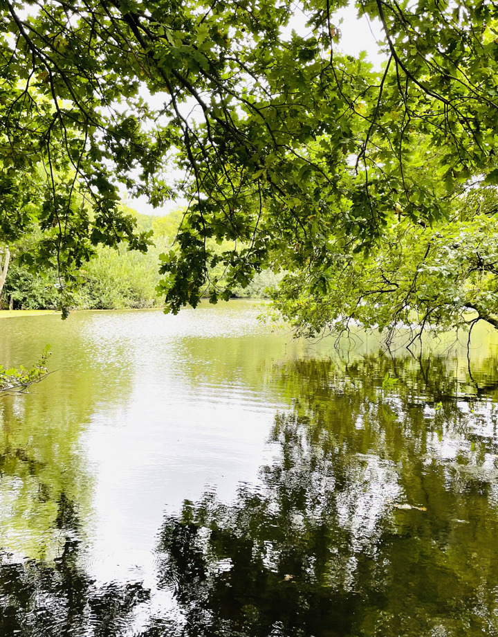 Een mooie waterplas in natuurgebied De Doort
