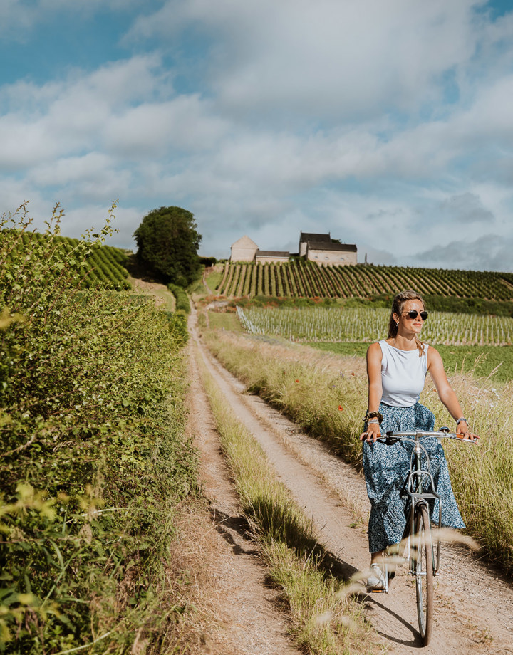 Een vrouw fiets op een zomerse dag de berg naar beneden langs de wijnranken van de Apostelhoeve