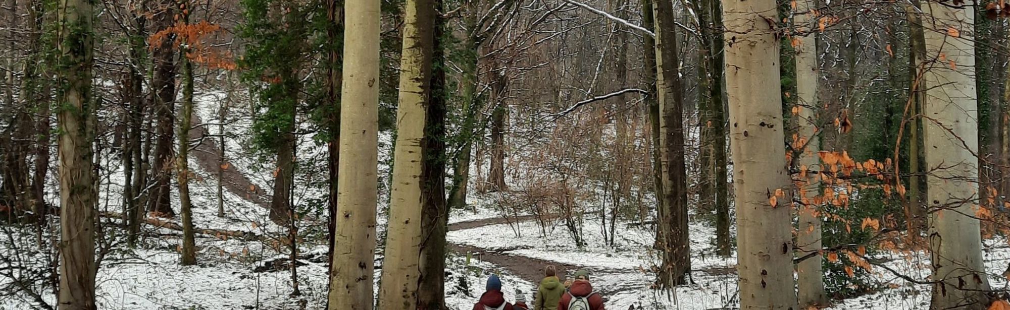 Een winterwandeling in het bos op een pratsjig paadje