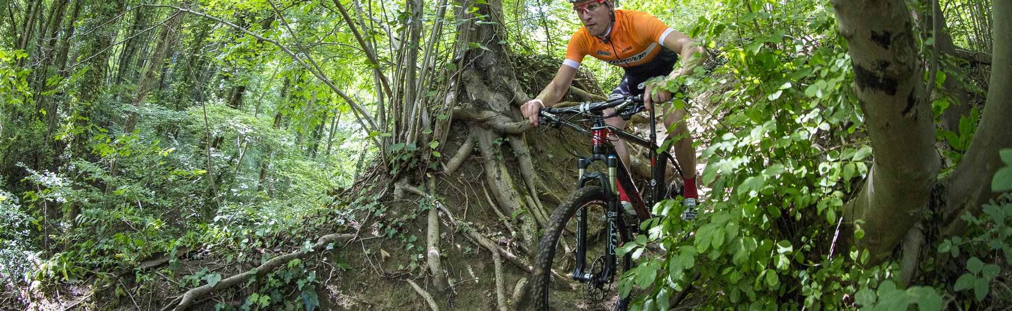 Man met oranje shirt is aan het mountainbiken in het groene bos