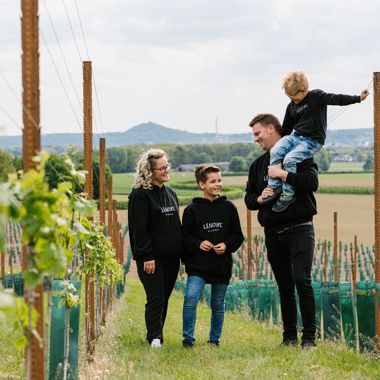 Familie Lenoire met moeder, vader en twee zoons poseren tussen de jonge wijnranken van Wijngoed Lenoire