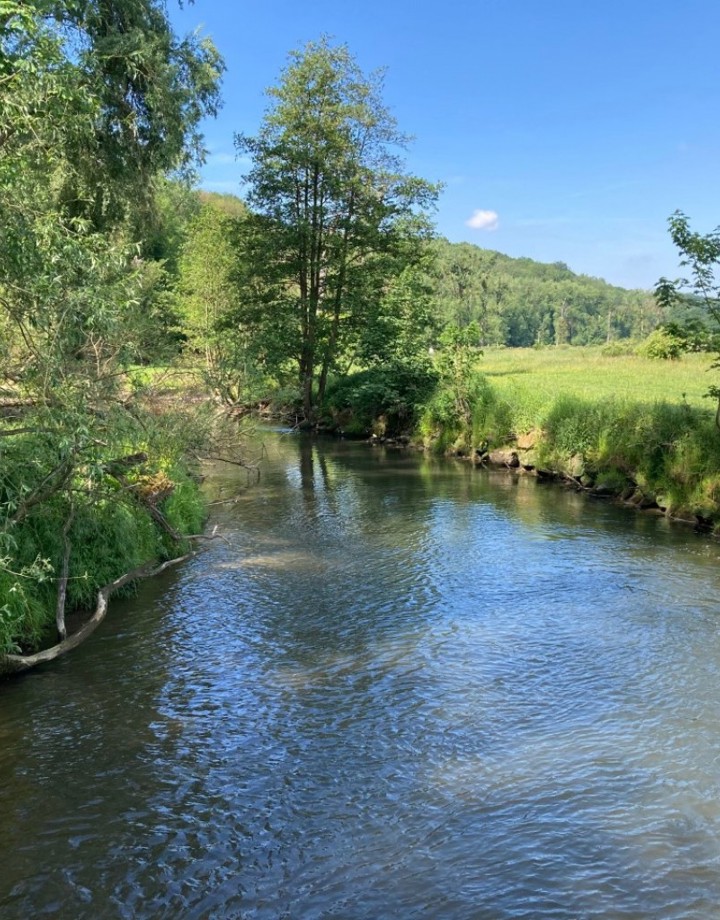 Een stromende beek in een natuurlandschap