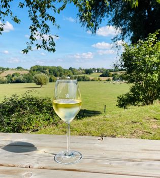 Een glaasje witte wijn op een tafeltje bij St. Martinus met uitzicht op het glooiende heuvellandschap