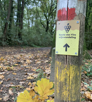 Bewegwijzering van de Route des Vins in Sittard bevestigd op een houten paaltje in een herfstig bospaadje