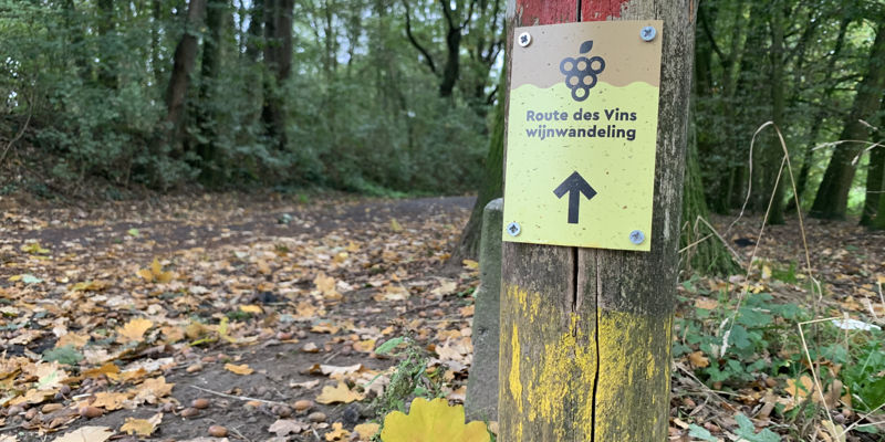Bewegwijzering van de Route des Vins in Sittard bevestigd op een houten paaltje in een herfstig bospaadje