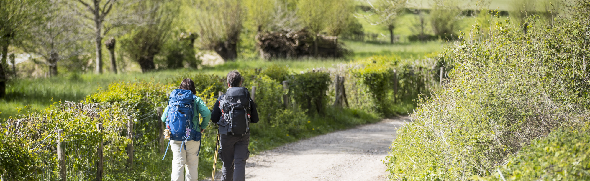 Overnachten langs de Dutch Mountain Trail | Visit Zuid-Limburg
