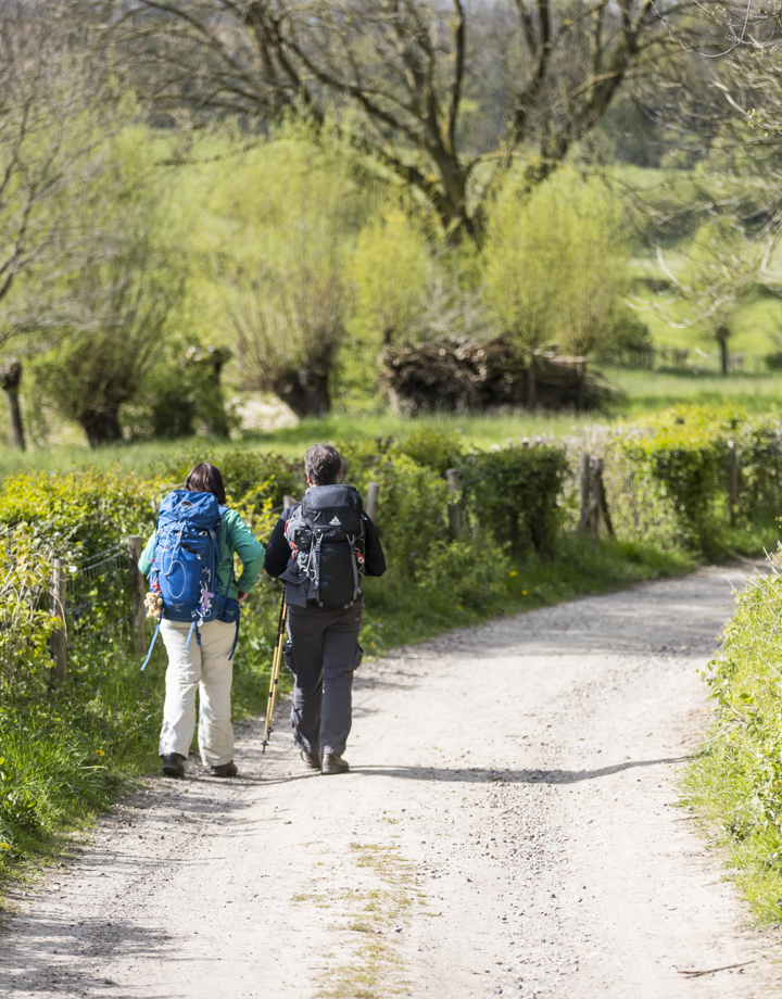 Lange afstandswandelingen in Zuid-Limburg | Visit Zuid-Limburg