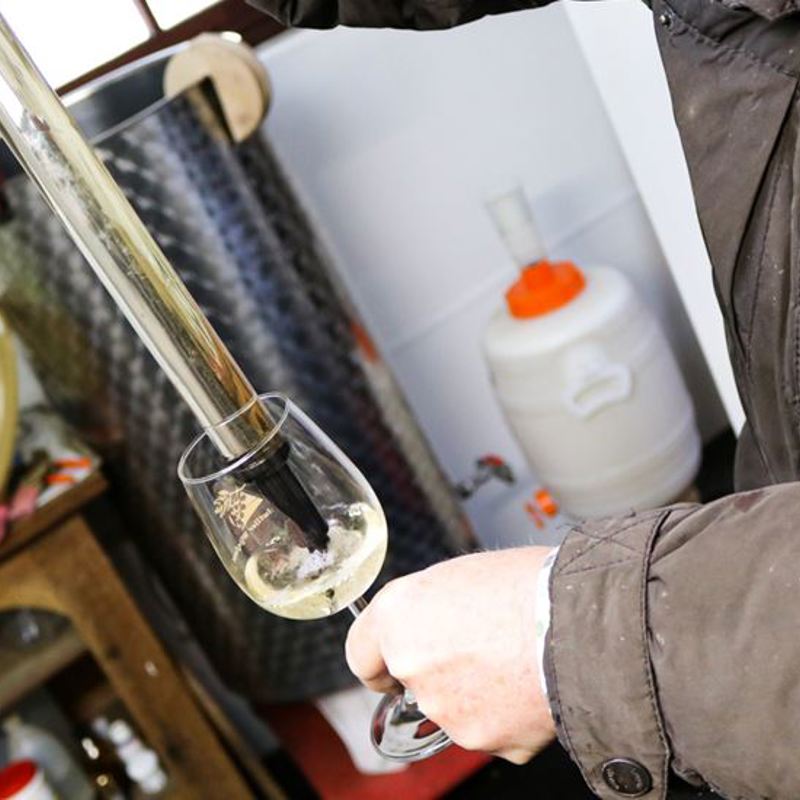 Witte wijn in een glas