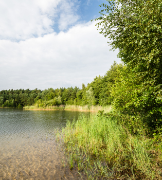 Waterplas Schinveldse Bossen