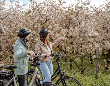 Twee dames staan met de fiets in de hand naast een bloesemveld.