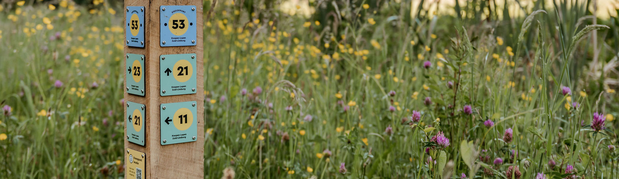 Een houten knooppuntenpaaltje tussen het groene gras en kleurrijke roze en gele bloemen