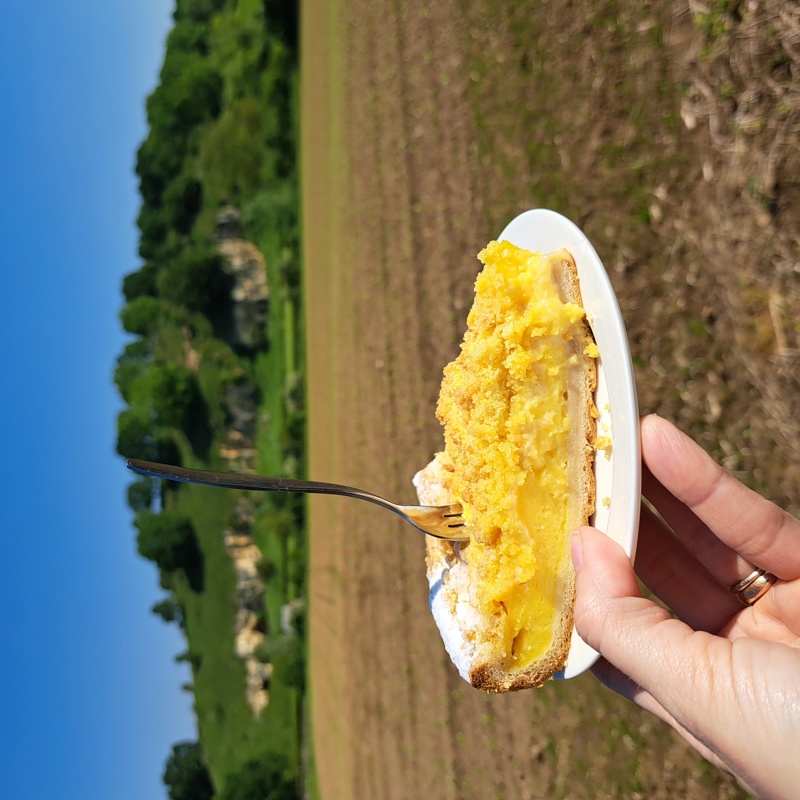 Een stuk Limburgse pudding-kruimelvlaai op een bordje met een mooie groene achtergrond. 