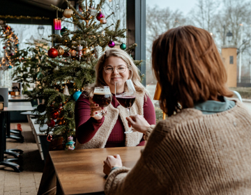 Twee mensen proostend met kerstversiering