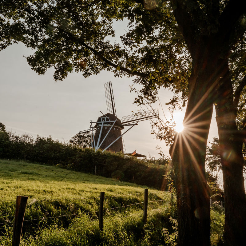 Zijkant van een molen en een laagstaande zon in Voerendaal.