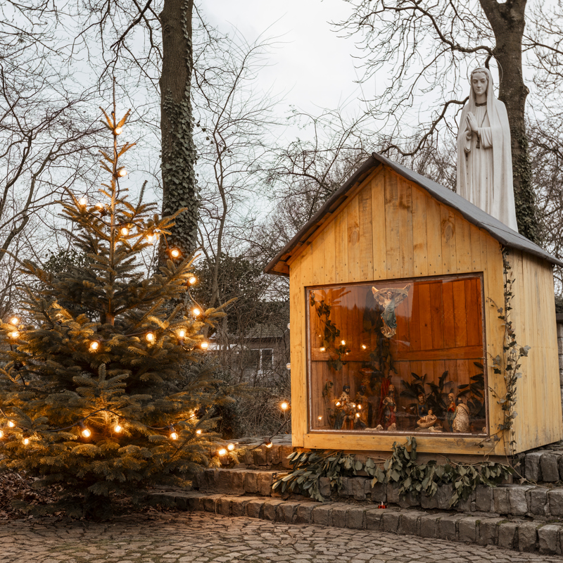 Kerststal met kerstboom ernaast met lichtjes