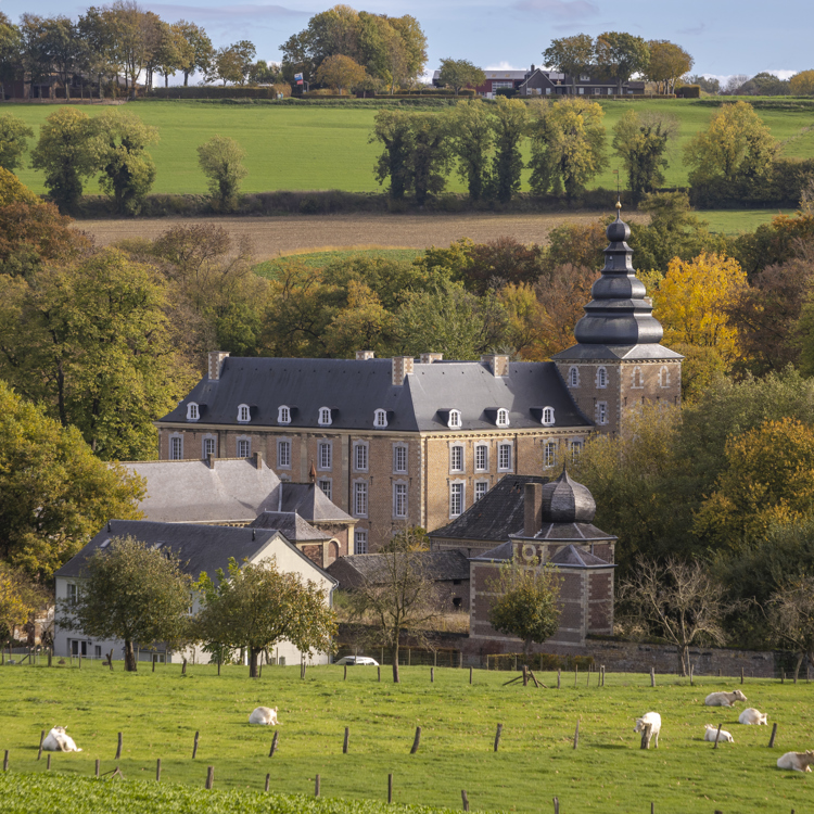 Chateau of kasteel neubourg in gulpen tussen de heuvels met koeien in het weiland