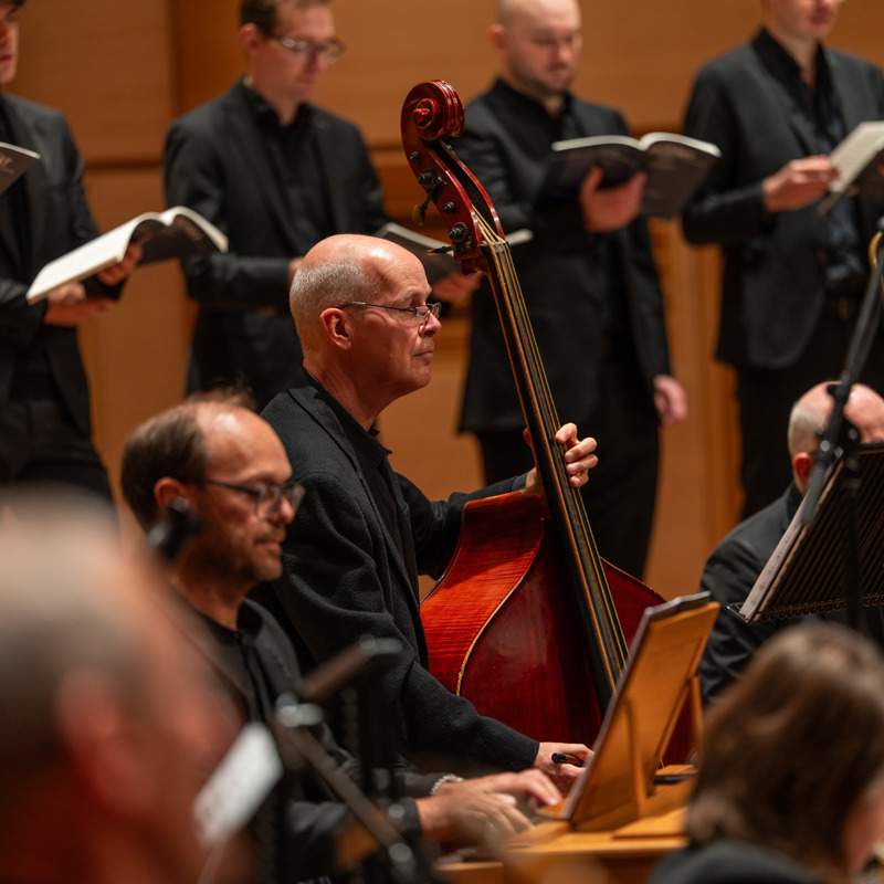 Orkest speelt op strijkinstrumenten voor het jubileumconcert van Ad Mosam