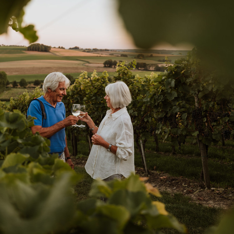Een man en vrouw proosten tussen de wijnbladeren van wijngoed Fromberg tijdens zonsondergang