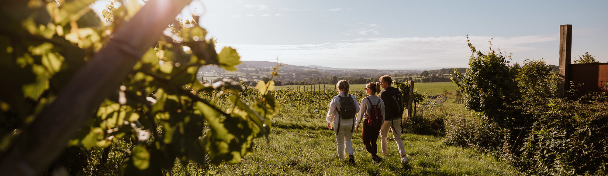 Drie wandelaars lopen de horizon tegemoet tijdens de zonsopkomst bij Domein Steenberg