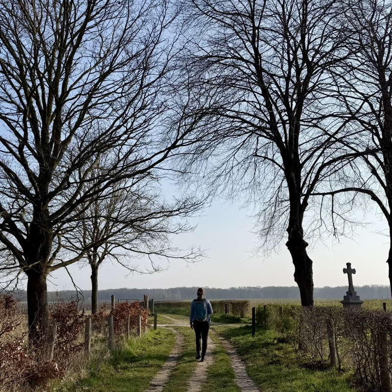 Wandelaar op een wandelpad tussen de kale bomen. 