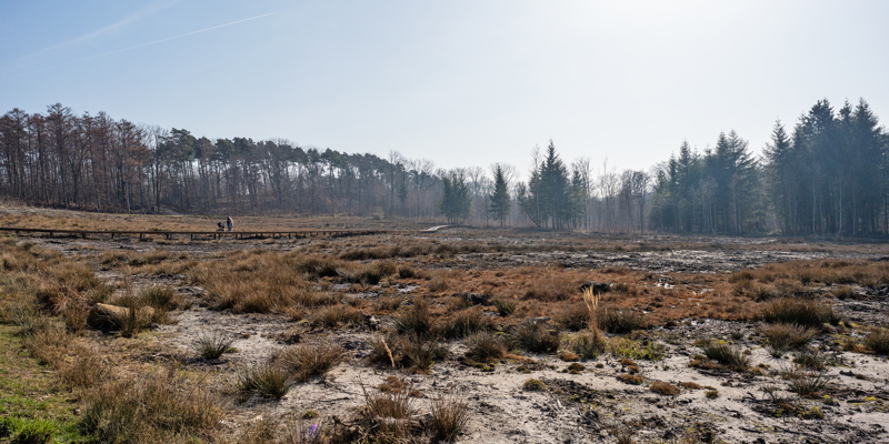 Vrij en ver uitzicht over het Schutterspark.