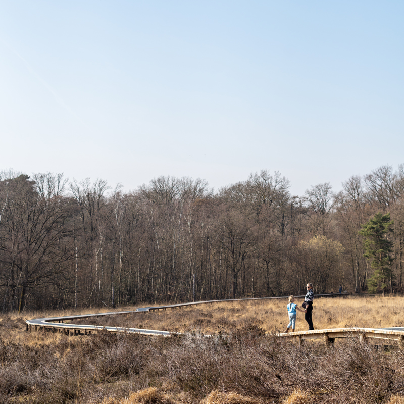 Twee personen wandelen over houten vlonder in het Schutterspark. 