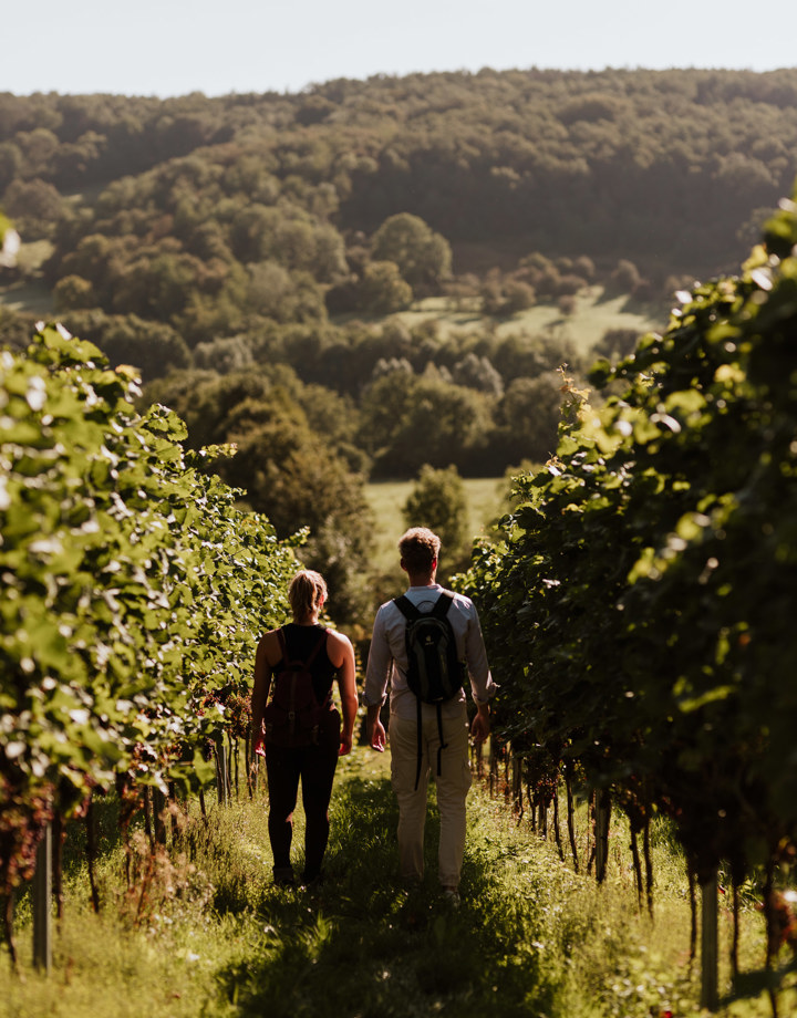 Een man en vrouw wandelen een helling naar beneden tussen de wijnranken in Slenaken