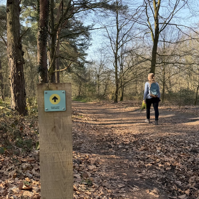 Knopen Lopen paaltje op de voorgrond, met op de achtergrond een wandelaar in het bos.