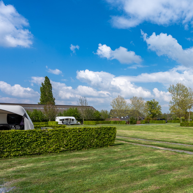 Grasveld met kampeerplaatsen voor tenten en caravans van Camping Heuvelland Oaze in Heijenrath