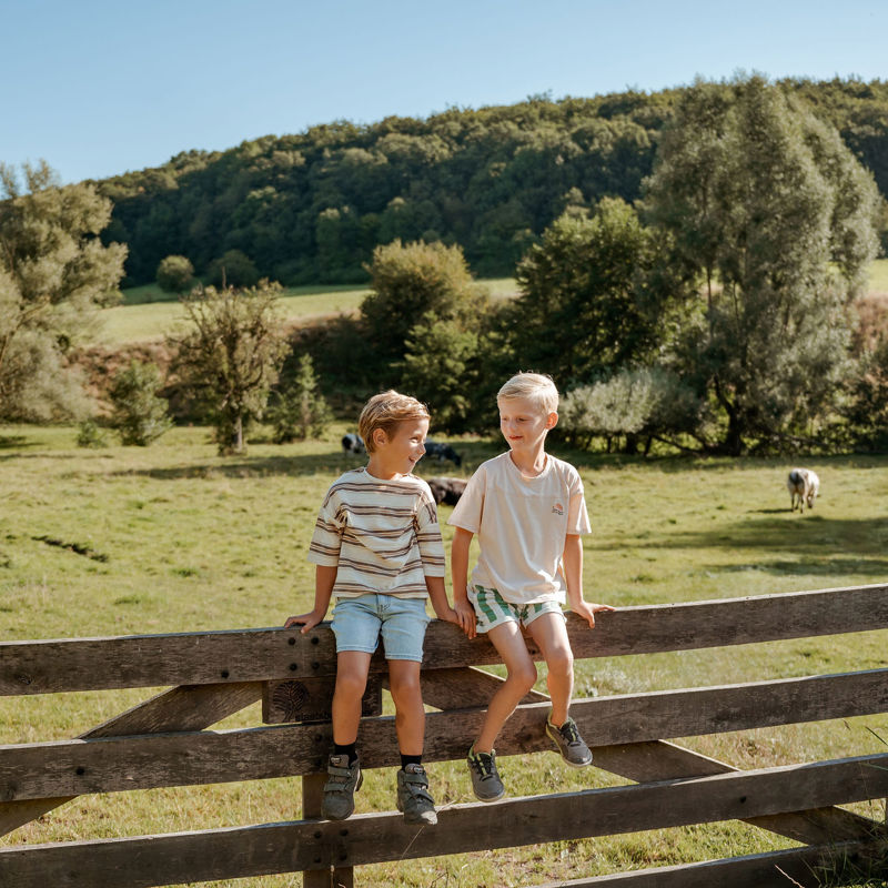 Twee jongetjes op een hek voor een weiland met koeien met heuvels en bos op de achtergrond