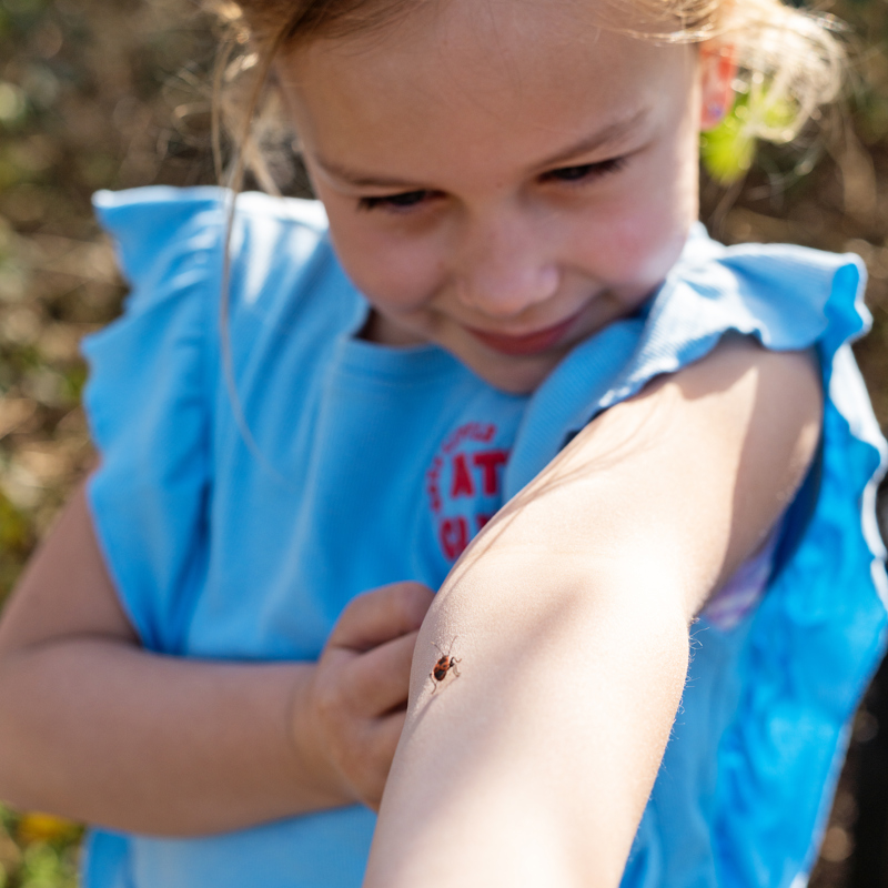 Meisje bekijkt een insect op haar harm.