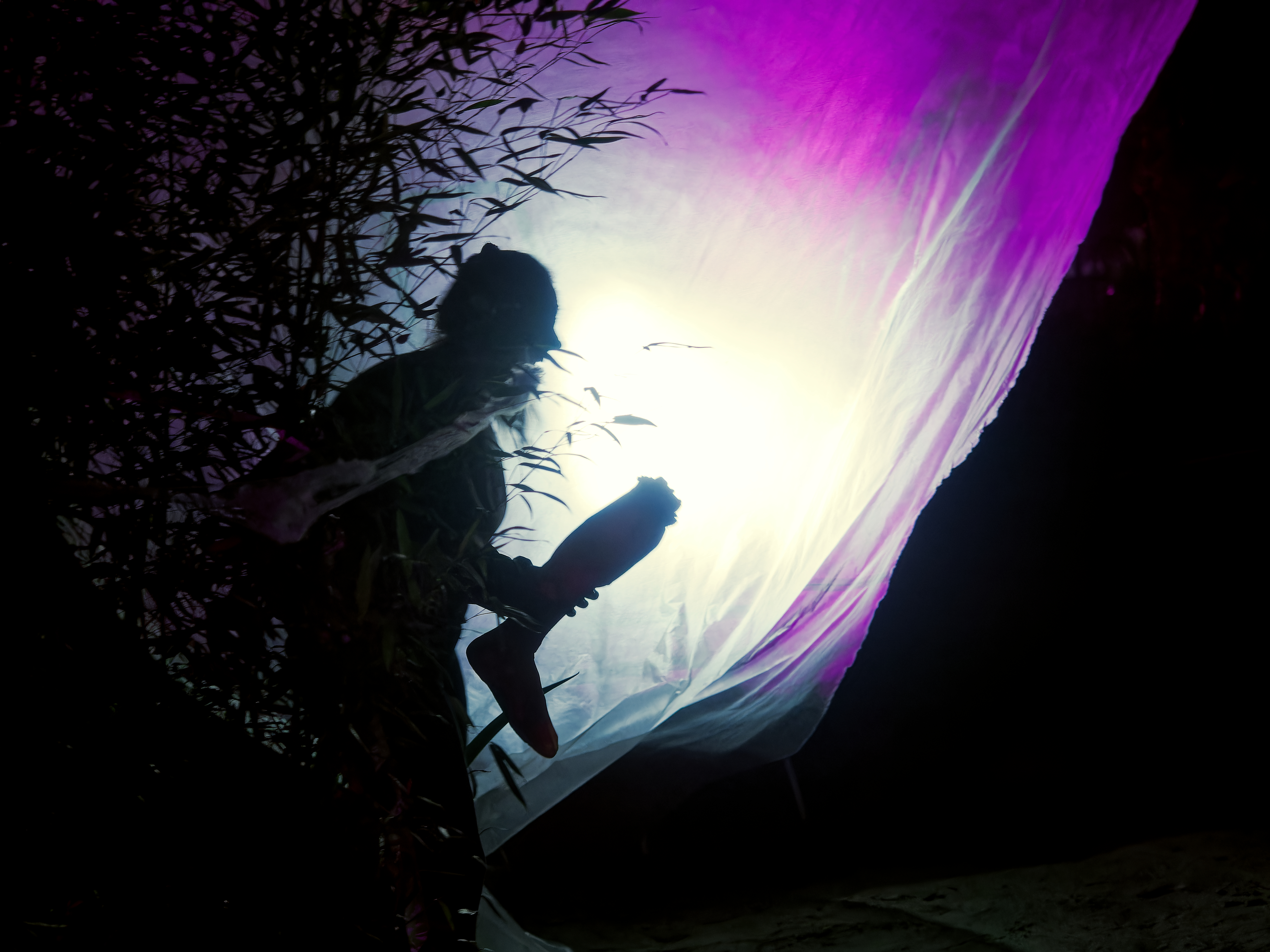 Halloweentocht Infected Forest voor Volwassenen