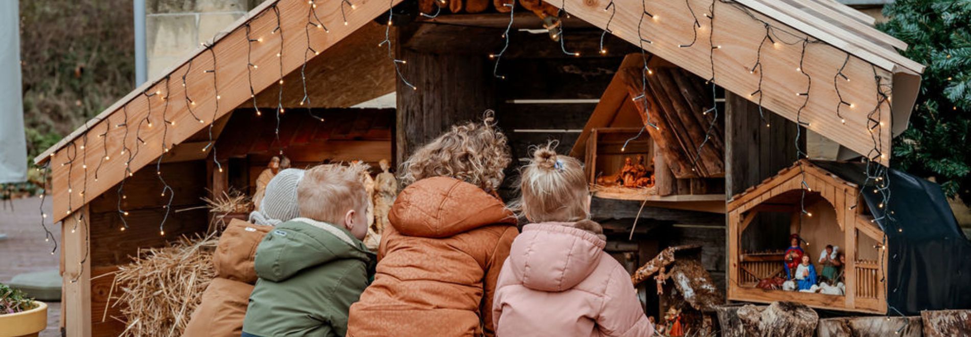 Kribkeswandeling Schin op Geul