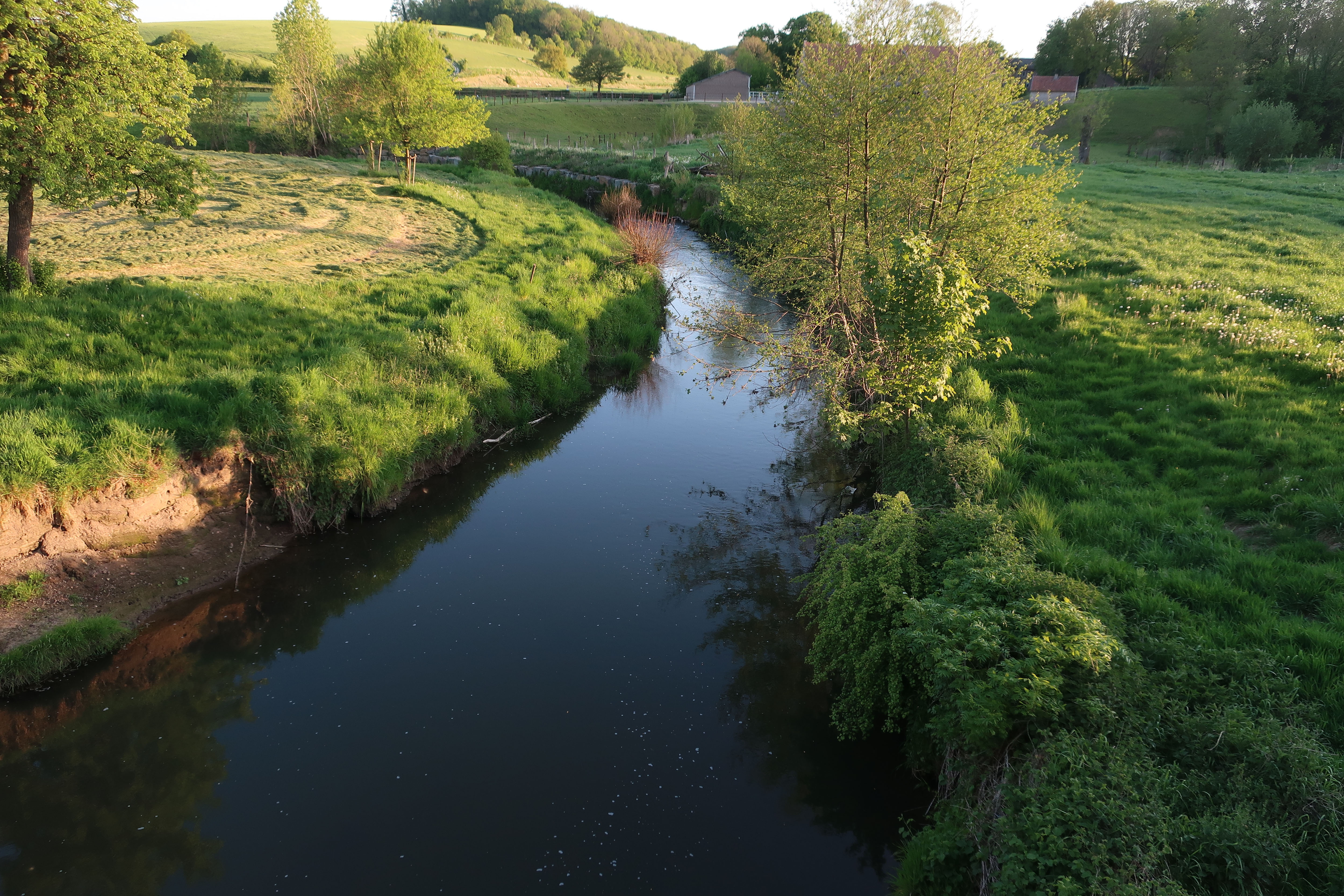 Verstillingswandeling