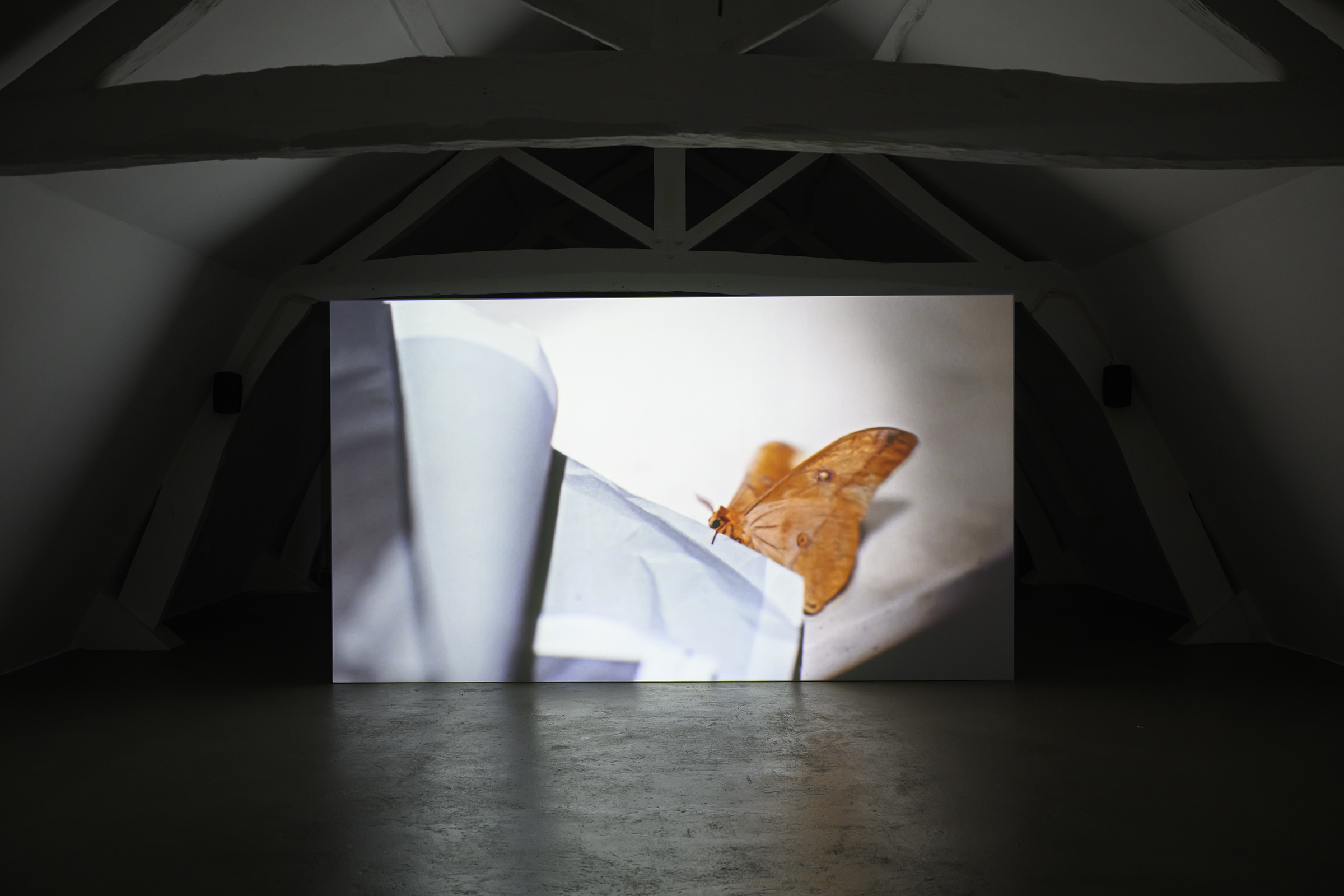 Season Session voorjaar: bezoek de buitenplaats tijdens Pasen